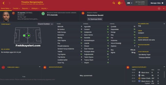 Tinashe Nengomasha-Fm2016